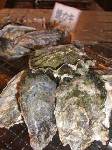 サロマ湖鶴雅リゾートの牡蠣バイキングランチを満喫