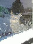 玄関の窓の中から、雪かきを応援してくれているネコ
