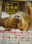 JR北海道の旭山動物園のチラシ。いつもながら見事な写真だ